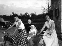 Nedina Laura Luciana Vanna Bisi